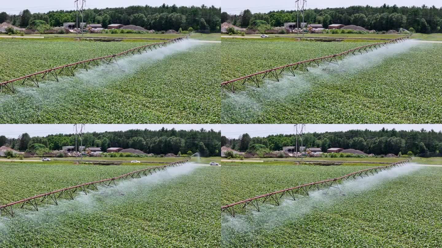 威斯康辛州中部的一片農田正在用灑水系統進行灌溉。